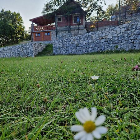 Mountain Village House Cetinje Ngoại thất bức ảnh