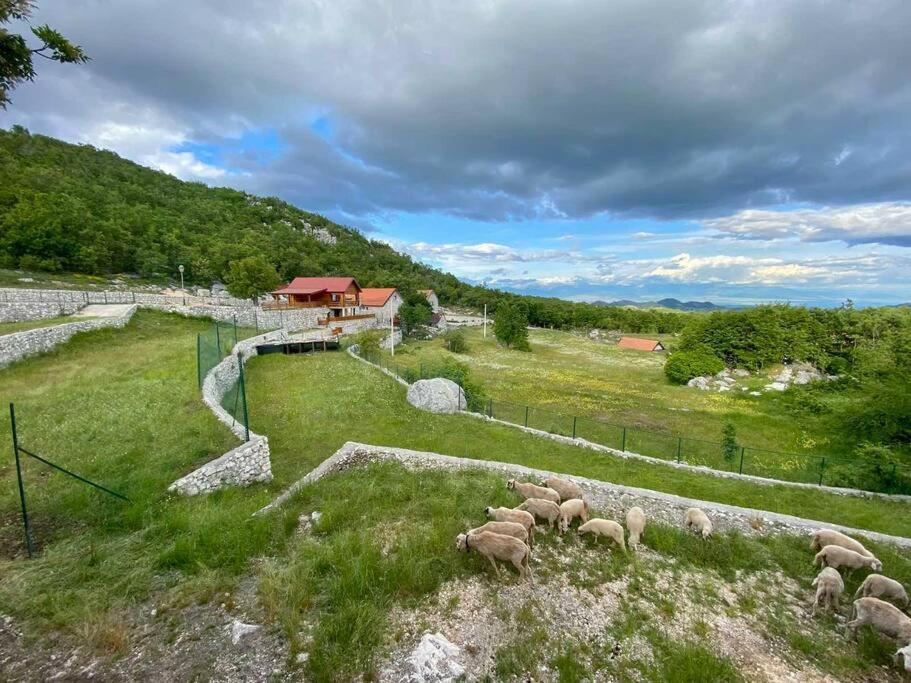 Mountain Village House Cetinje Ngoại thất bức ảnh