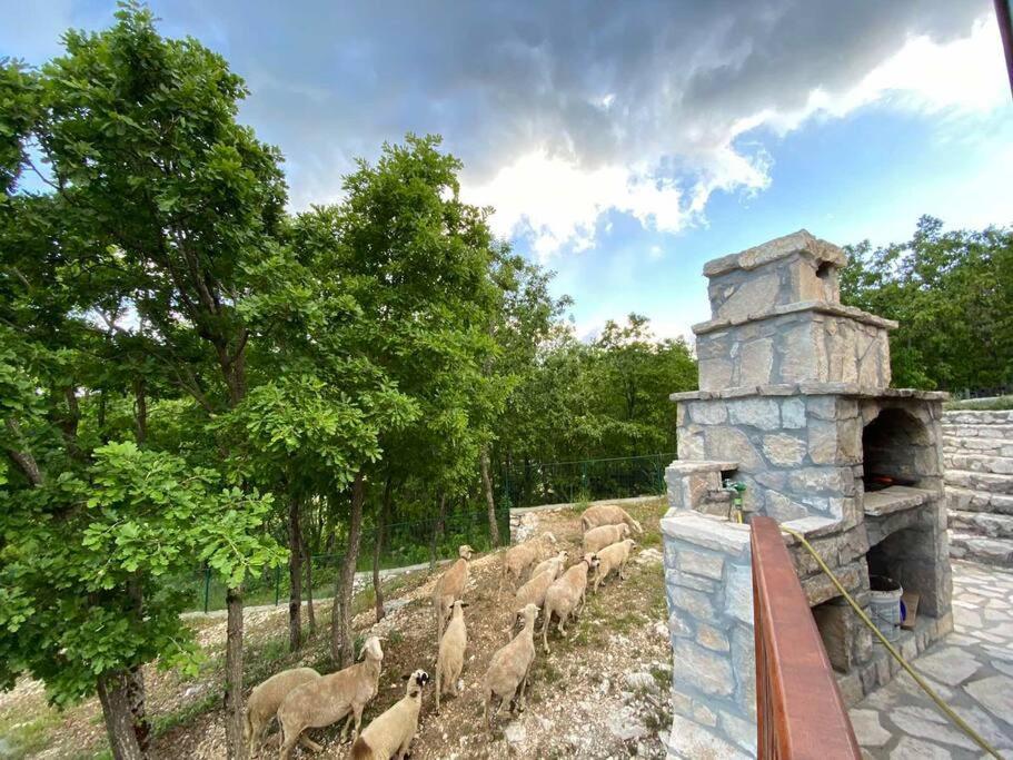 Mountain Village House Cetinje Ngoại thất bức ảnh