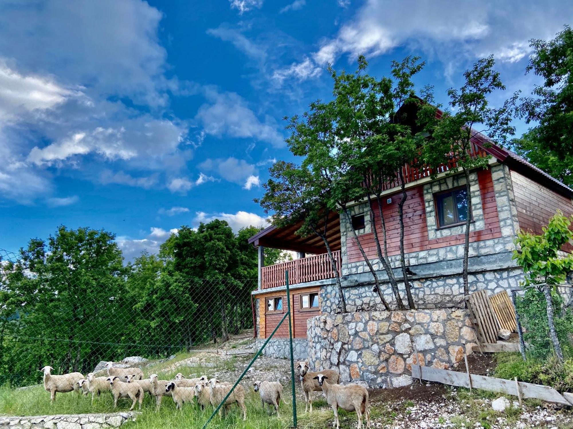 Mountain Village House Cetinje Ngoại thất bức ảnh