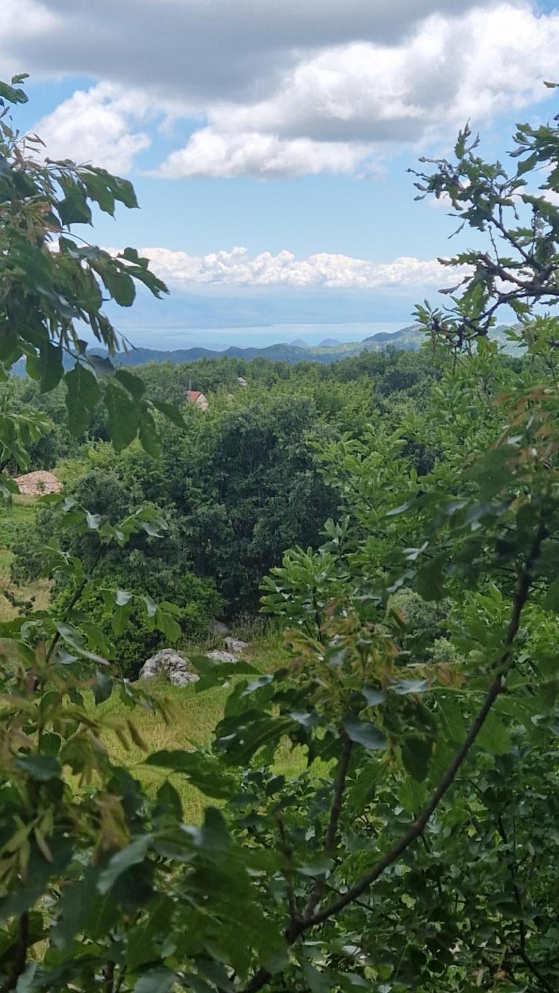Mountain Village House Cetinje Ngoại thất bức ảnh