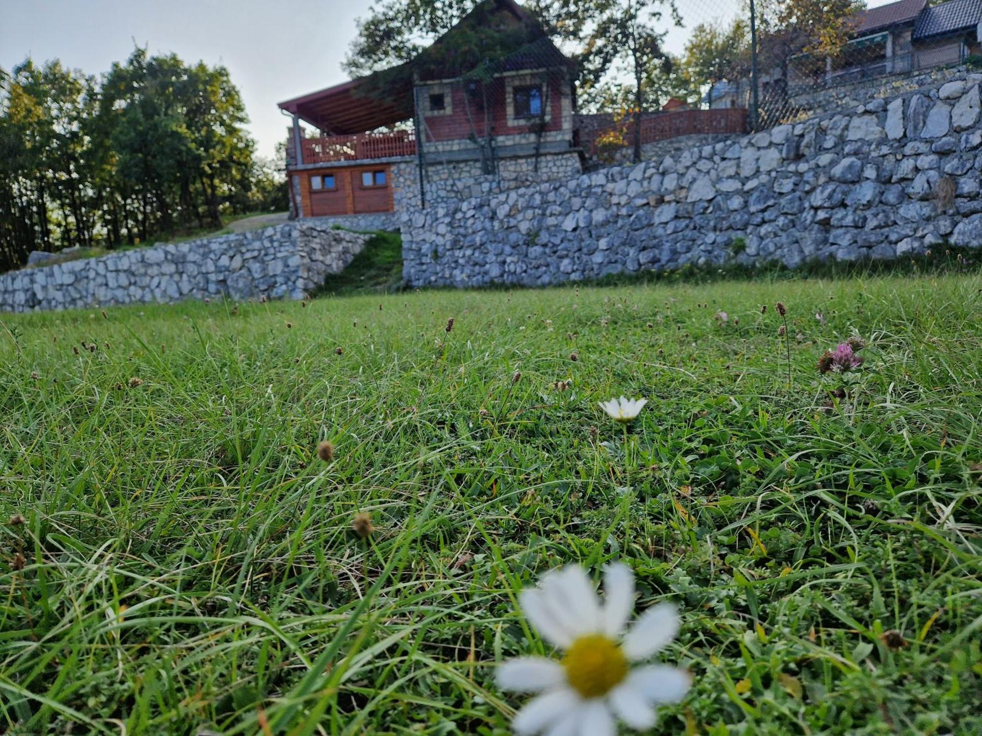 Mountain Village House Cetinje Ngoại thất bức ảnh